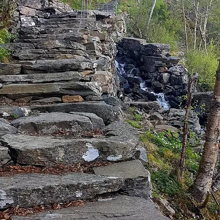 Rekdal * Vestnes