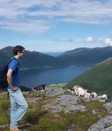 Dom wakacyjny Rekdal Vestnes