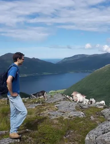 Ferienhaus Rekdal Vestnes